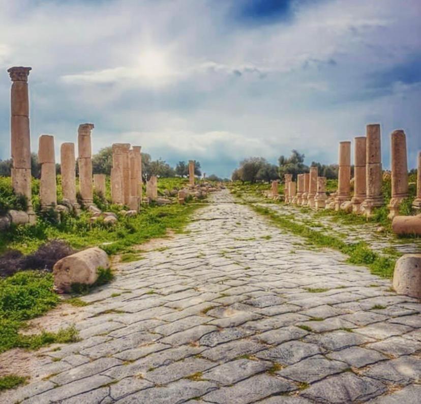 شقة إربد  في Shka Sila المظهر الخارجي الصورة