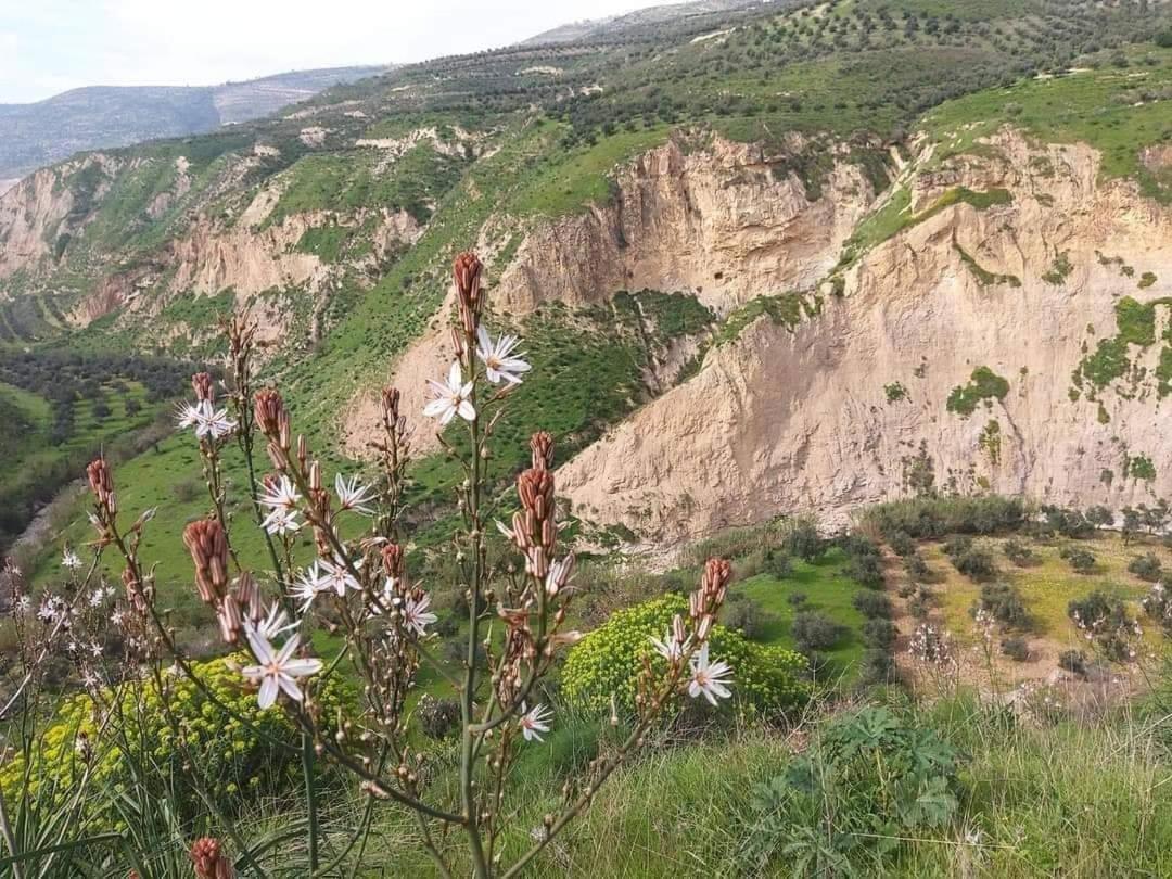 شقة إربد  في Shka Sila المظهر الخارجي الصورة