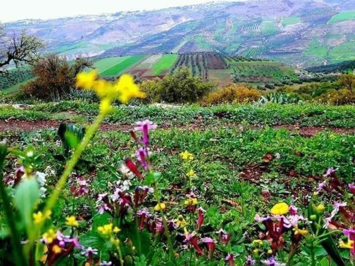 شقة إربد  في Shka Sila المظهر الخارجي الصورة