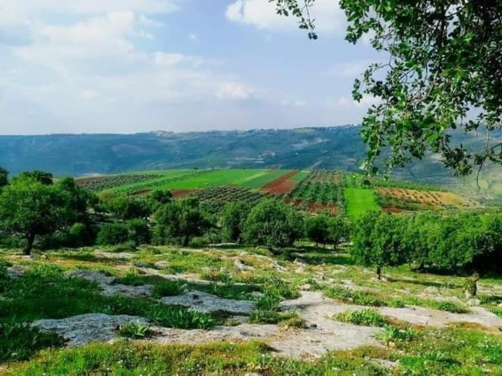 شقة إربد  في Shka Sila المظهر الخارجي الصورة